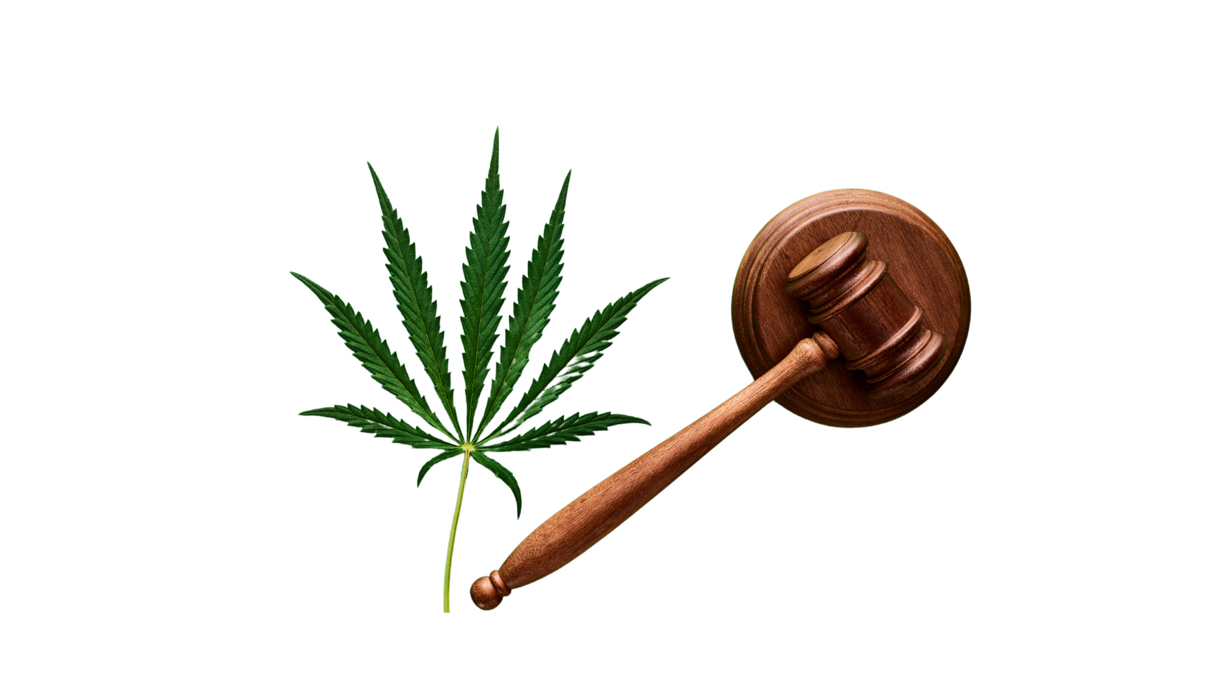 Unveiling Amendment 3: A Closer Look at the Recreational Cannabis Debate
