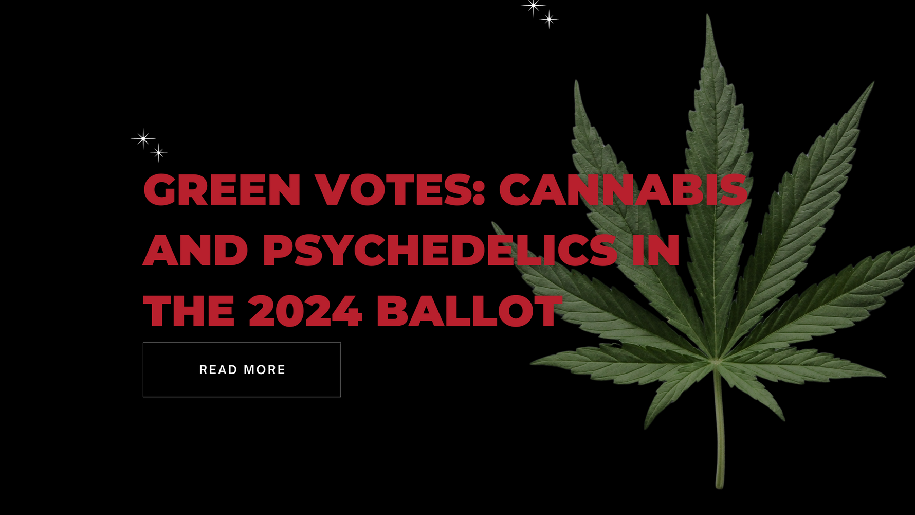 Green Votes: Cannabis and Psychedelics in the 2024 Ballot