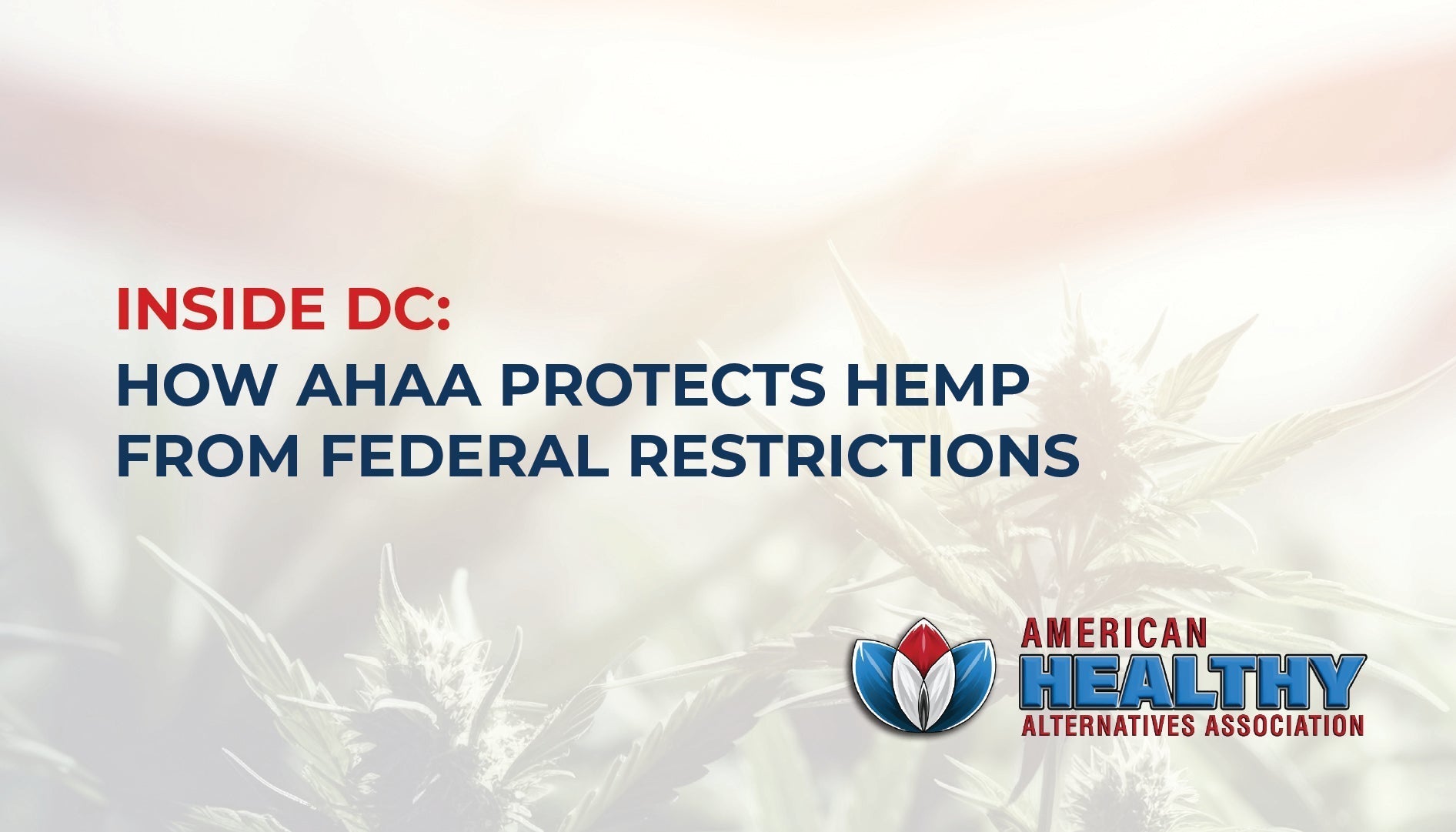 Inside DC: How AHAA Protects Hemp From Federal Restrictions