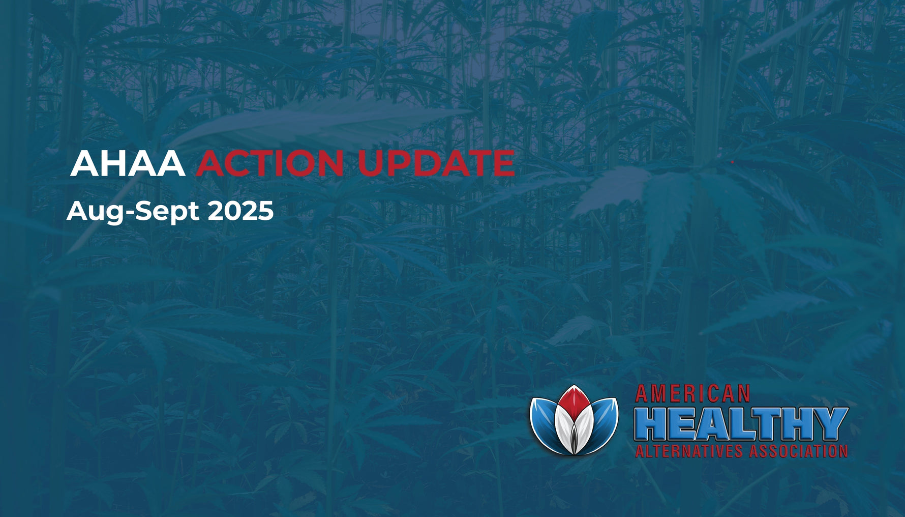 AHAA Action Update - August through September 2025