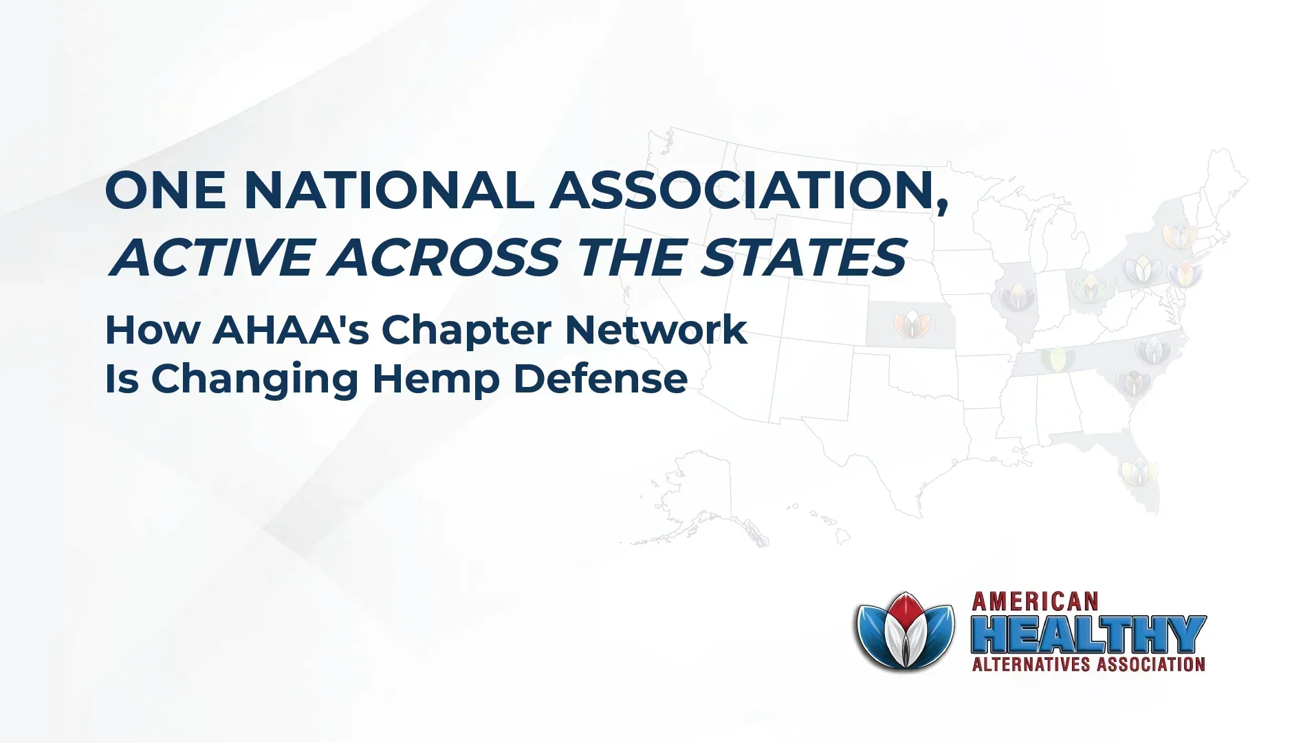 One National Association, Active Across the States. How AHAA's Chapter Network Is Changing Hemp Defense