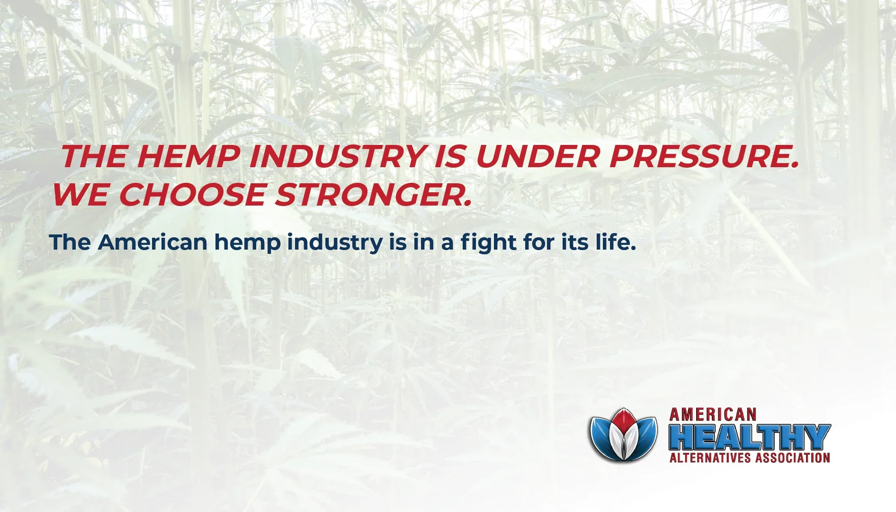The American Hemp Industry Is Under Pressure. We Choose Stronger.