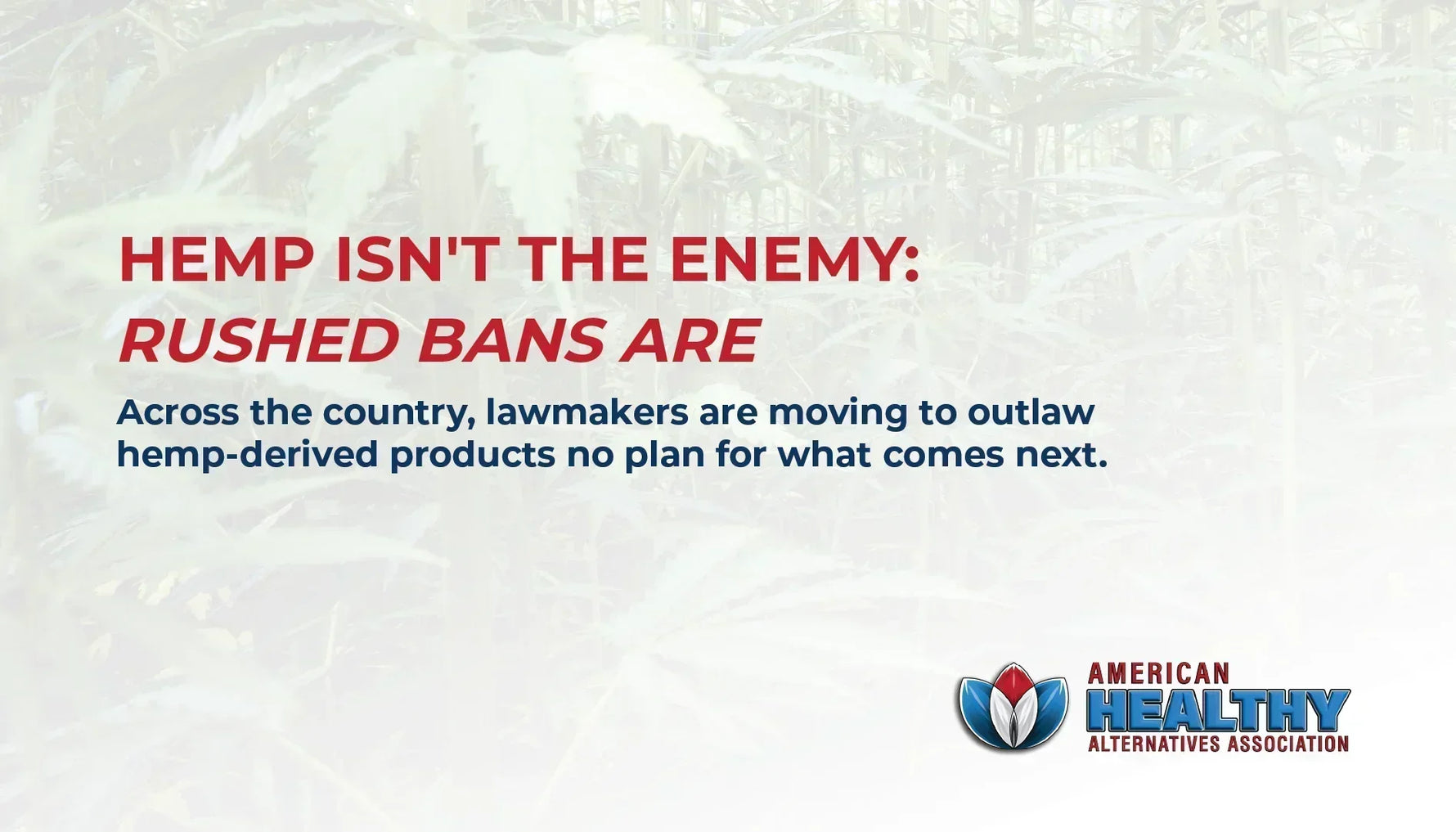 Hemp Isn't the Enemy: Rushed Bans Are. Across the country, lawmakers are moving to outlaw  hemp-derived products no plan for what comes next. 