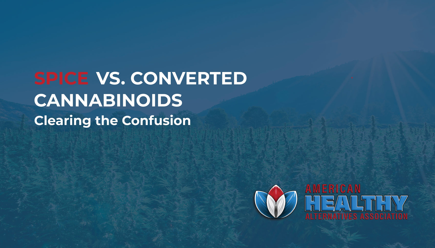 Spice vs. Converted Cannabinoids: Clearing the Confusion