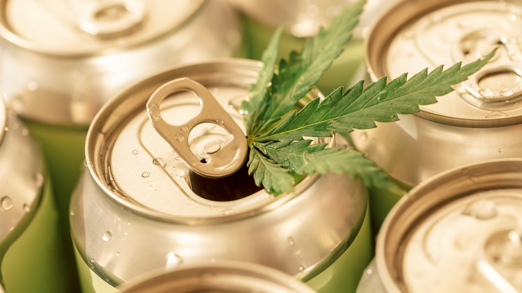 Pioneering Change in the Hemp Beverage Industry with U.S. Hemp Roundtable Leadership