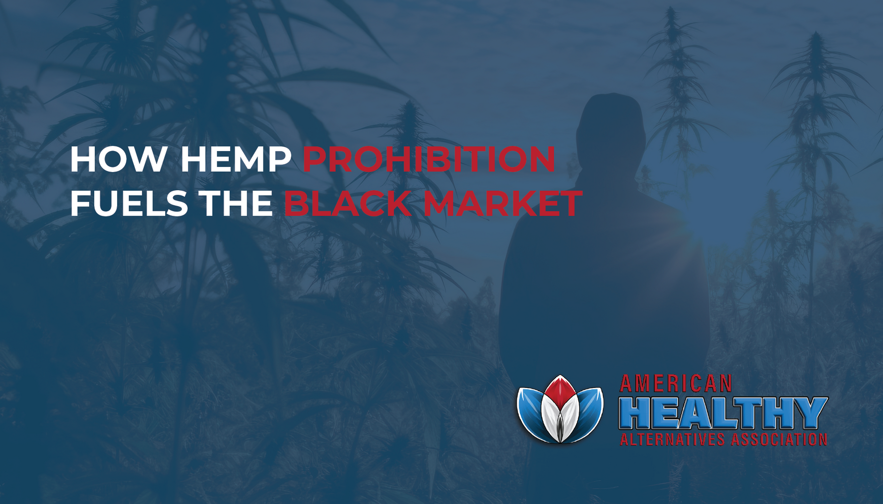 How Hemp Prohibition Fuels the Black Market
