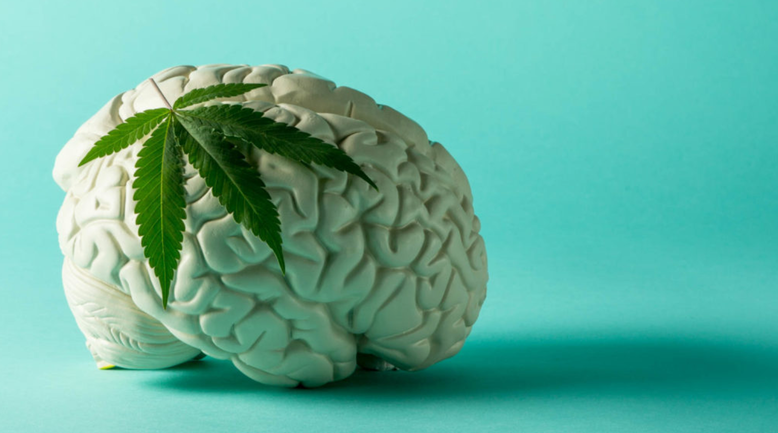 Cannabis and Brain Cells Myths Debunked